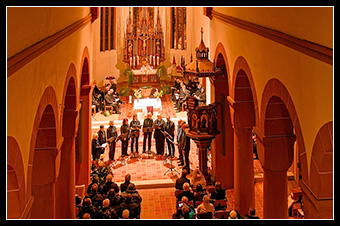 LIVEFOTOGRAFIE - KOMPILATION - 2024
